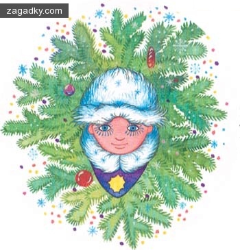 Загадки в картинках: Снегурочка, а где дед мороз?
