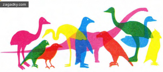 Детские загадки: Посмотри внимательно — в этой компании спрятался один персонаж, здесь явно лишний. Может, ты даже знаешь почему?