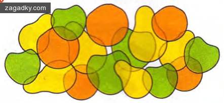 Детские загадки: Сколько груш, яблок и апельсинов на рисунке?