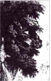 Загадки в картинках: Исчезнувший человек