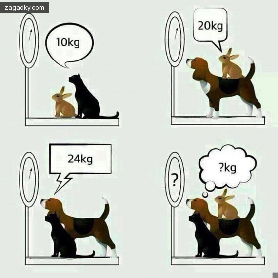 Загадки в картинках: Сколько вместе весит кошка, кролик и собака?