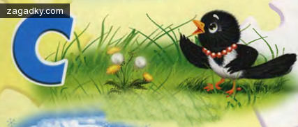 Детские загадки: Азбука в загадках про букву С