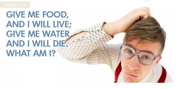 Загадки на английском: Give me food, and I will live; give me water, and I will die. What am I?