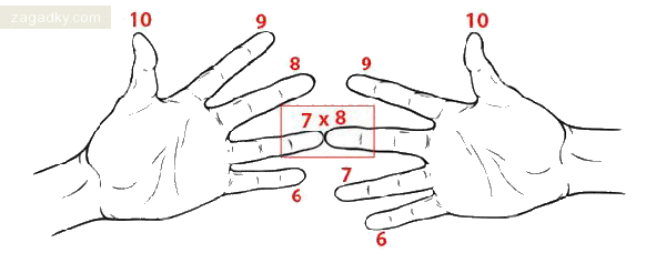 Математические загадки: Таблица умножения с помощью пальцев рук.
