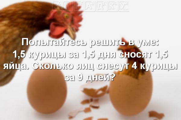 Загадки с подвохом: О курицах и яйцах