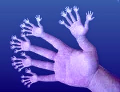 Математические загадки: Посчитать руки и пальцы