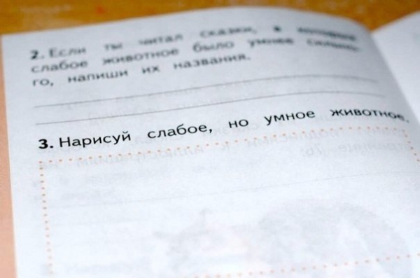 Загадки для школьников: 10 задач из учебников, от которых волосы дыбом встают.