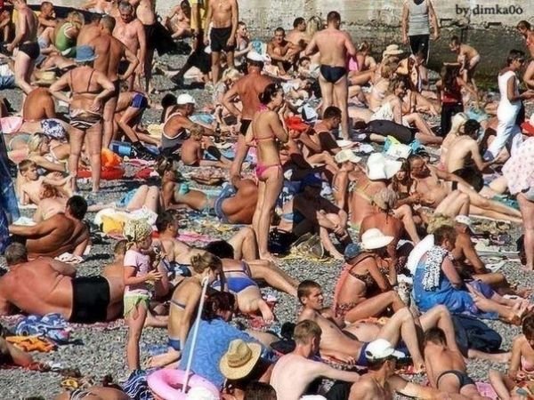 Загадки в картинках: найдите кота